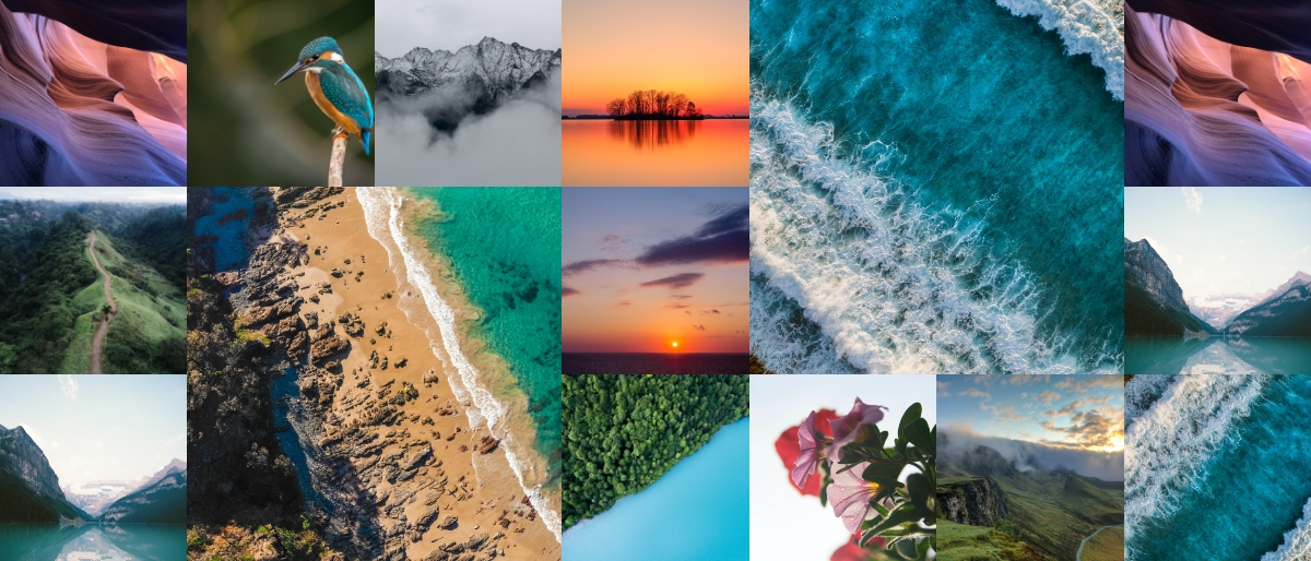 インスタグラムの画像